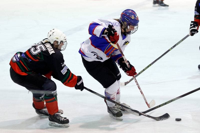 Ice Hockey. PLHK. Polonia Bytom - Atomowki Tychy. 27.01.2017