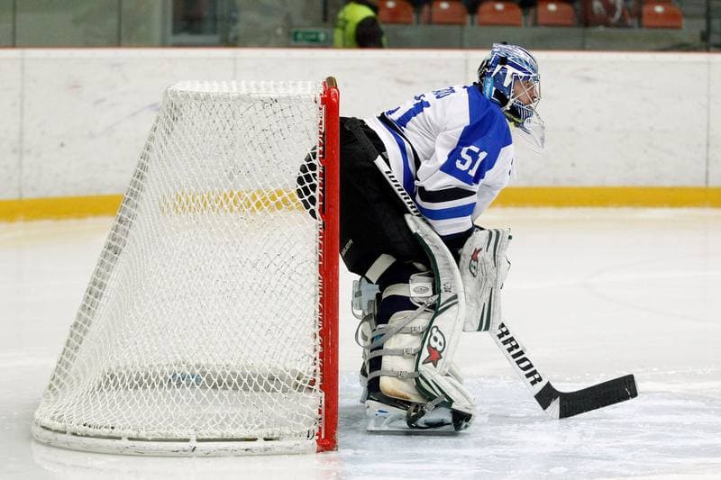 Ice Hockey. WSM Liga. HC Frydek-Mistek - HC AZ Havirov 2010. 30.01.2017