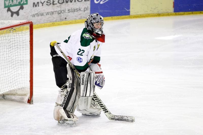 Ice Hockey. I Liga. Naprzod Janow - UKH Debica. 12.02.2017