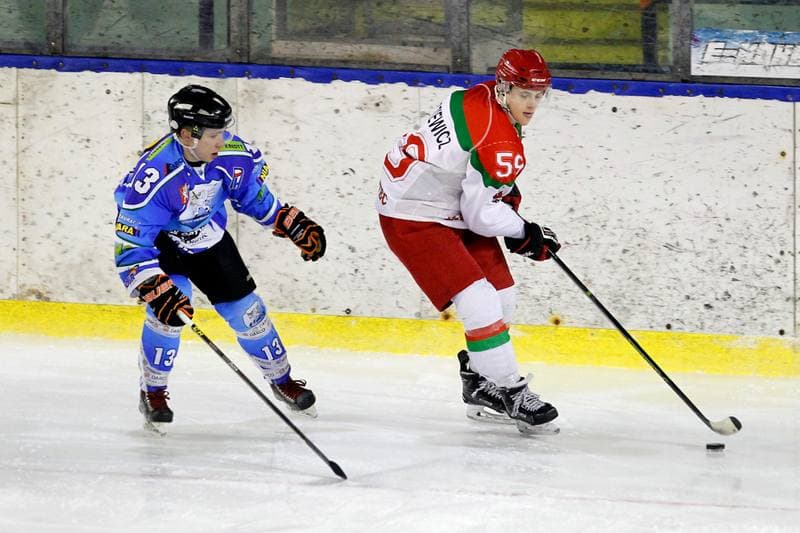 Ice Hockey. I Liga. Zaglebie Sosnowiec - UKH Debica. 18.02.2017