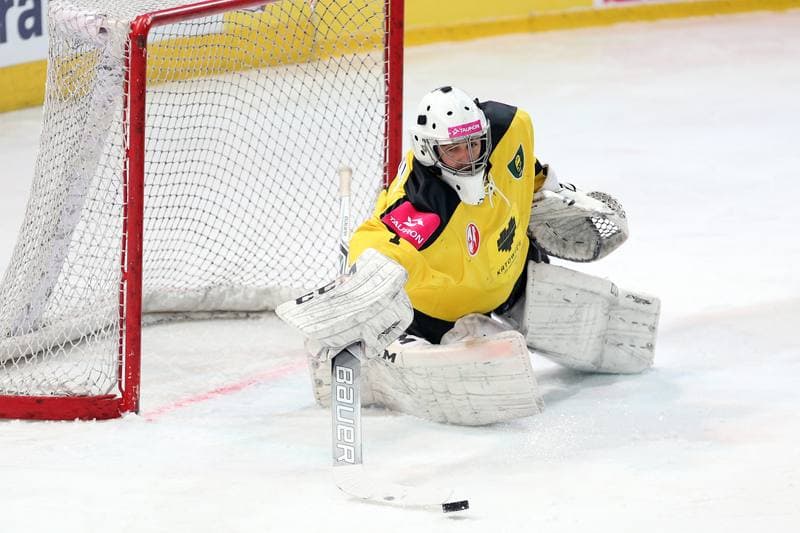 Ice Hockey. Polska Hokej Liga. Tauron KH GKS Katowice - GKS Tychy. 25.02.2017