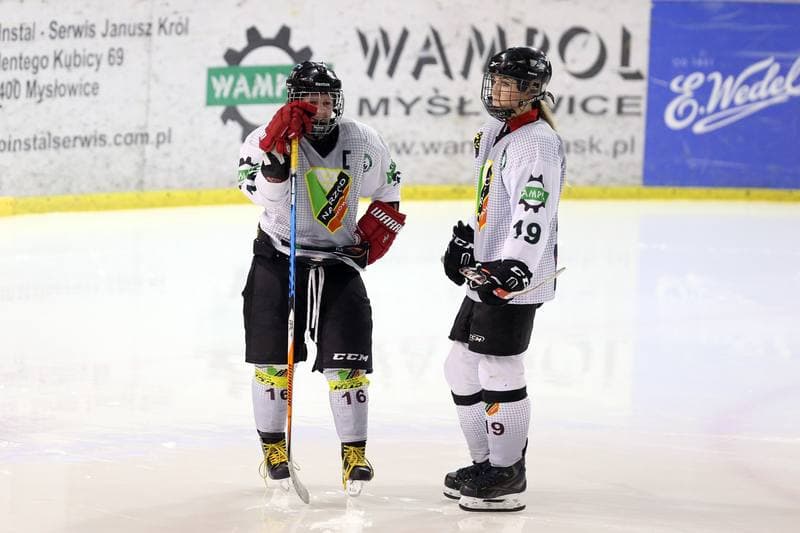 Ice Hockey. PLHK. Naprzod Janow - Stoczniowiec Gdansk. 25.02.2017
