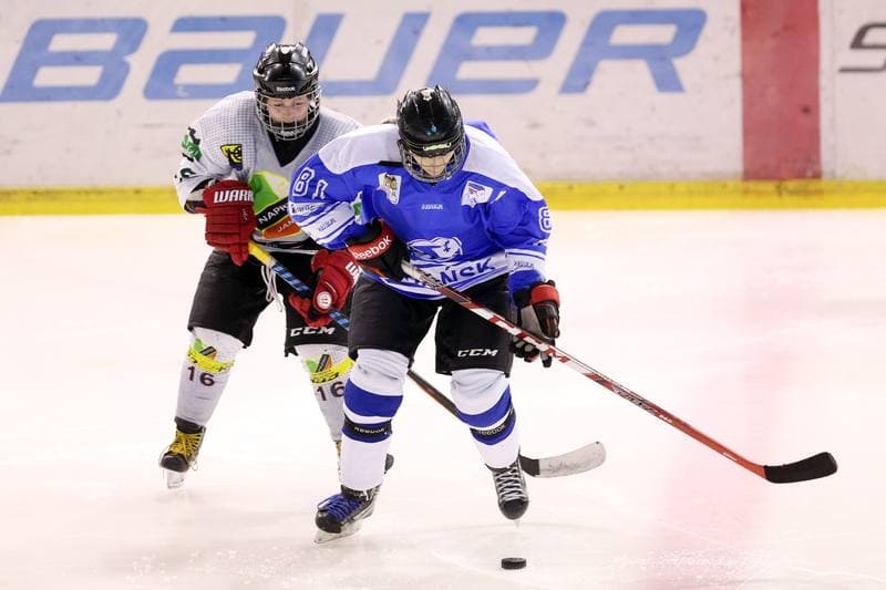 Ice Hockey. PLHK. Naprzod Janow - Stoczniowiec Gdansk. 25.02.2017