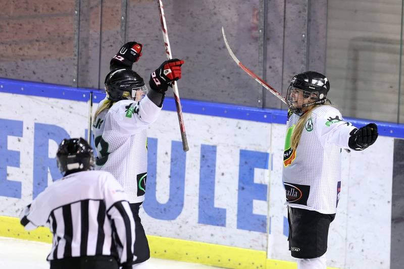 Ice Hockey. PLHK. Naprzod Janow - Stoczniowiec Gdansk. 25.02.2017