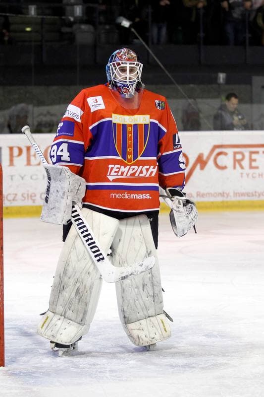 Ice Hockey. Polska Hokej Liga. GKS Tychy - Tempish Polonia Bytom. 07.03.2017