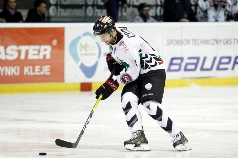 Ice Hockey. Polska Hokej Liga. GKS Tychy - Tempish Polonia Bytom. 07.03.2017