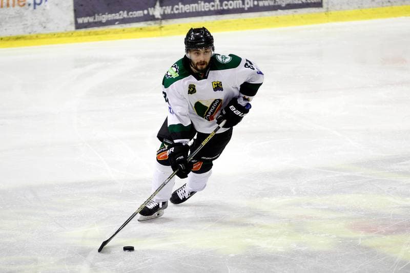 Ice Hockey. I Liga. Naprzod Janow - Zaglebie Sosnowiec. 12.03.2017