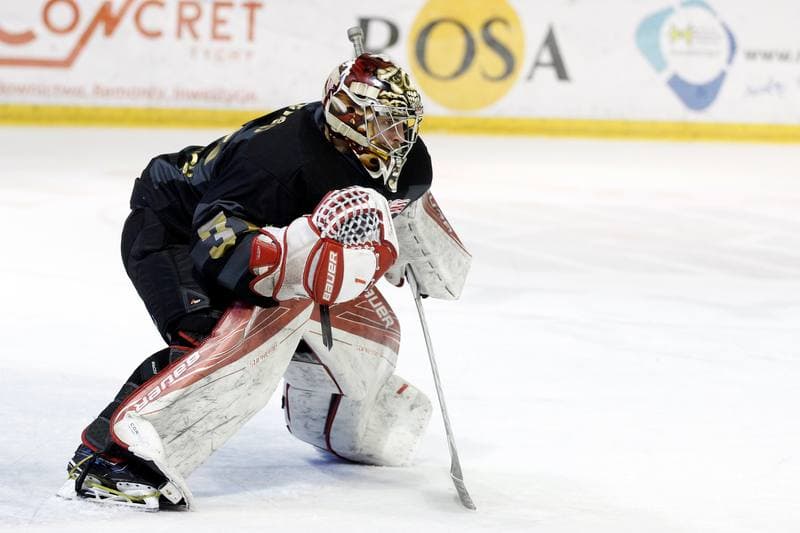 Ice Hockey. Polska Hokej Liga. GKS Tychy - Comarch Cracovia. 21.03.2017