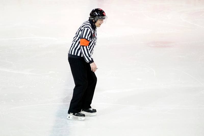 Ice Hockey. Charity Match. Tauron KH GKS Katowice - Byki Tauron. 01.04.2017
