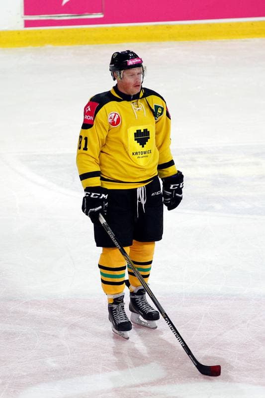 Ice Hockey. Charity Match. Tauron KH GKS Katowice - Byki Tauron. 01.04.2017