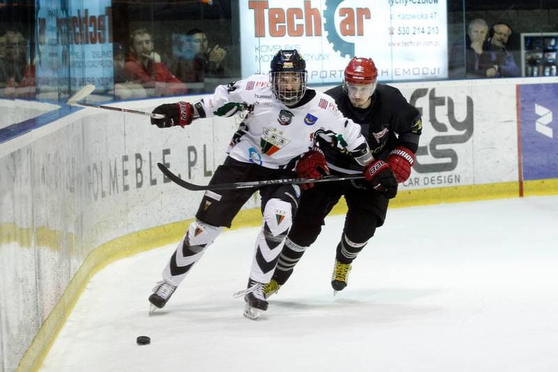 Ice Hockey. Polska Hokej Liga. GKS Tychy - Comarch Cracovia. 02.04.2017