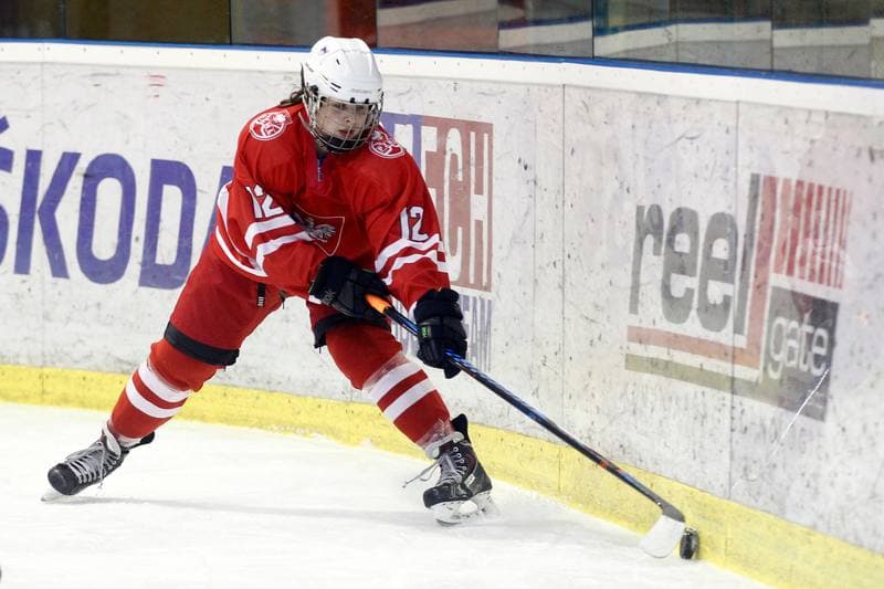 Ice Hockey. Women's Friendly Match. Poland - Ontario. 04.04.2017