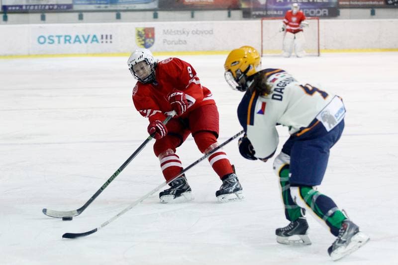 Ice Hockey. Women's Friendly Match. Poland - Ontario. 04.04.2017