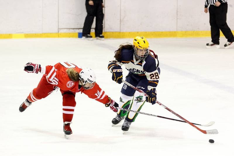 Ice Hockey. Women's Friendly Match. Poland - Ontario. 04.04.2017