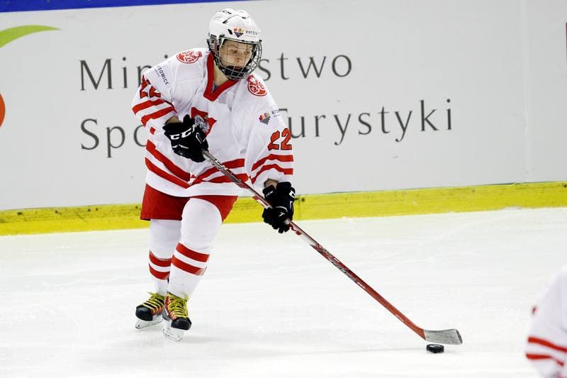 Ice Hockey. Women's World Championship. Poland - Slovakia. 08.04.2017