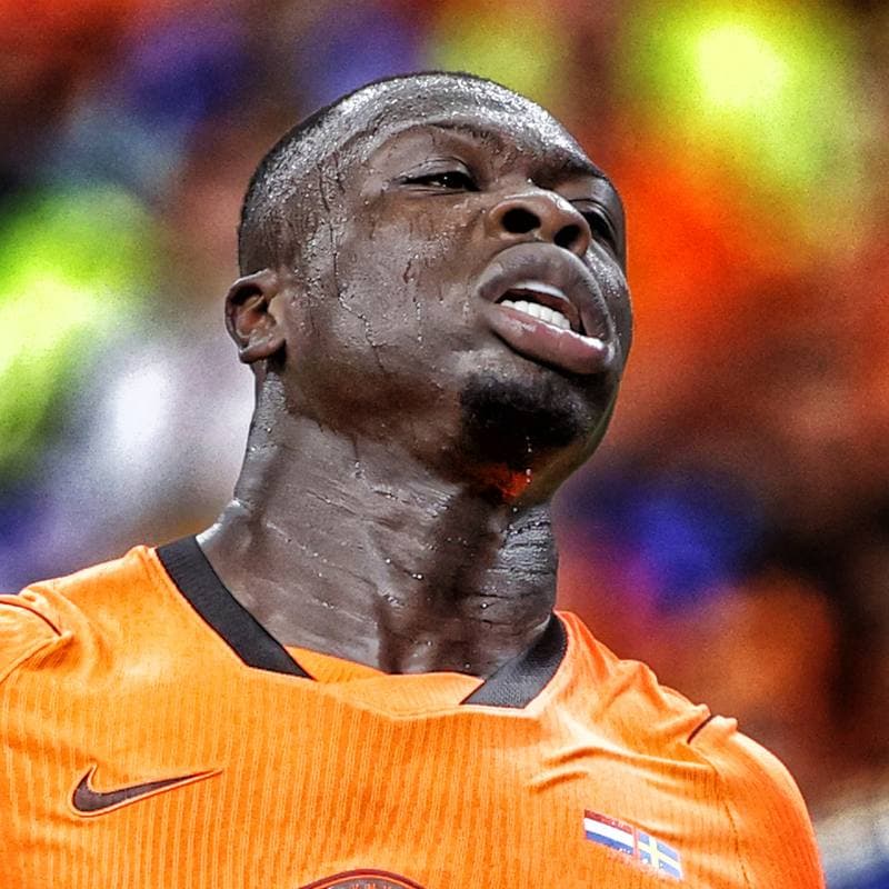 Football. World Cup. Netherlands - Sweden. 20.06.2026