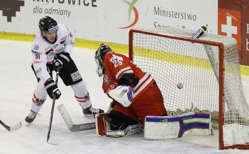 Ice Hockey. Euro Ice Hockey Challenge. Poland - Austria. 07.11.2015