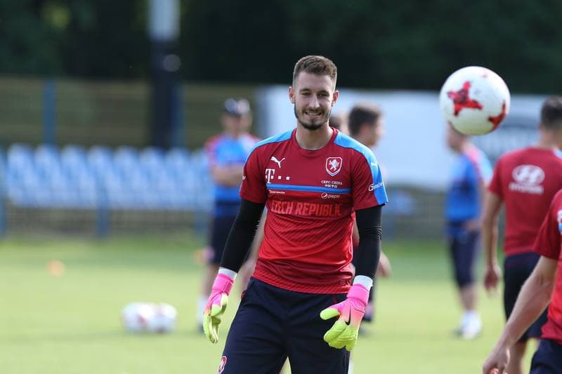 Football. Czech Republic. Training. 15.06.2017