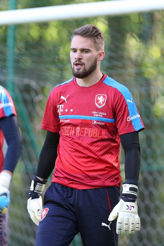 Football. Czech Republic. Training. 15.06.2017