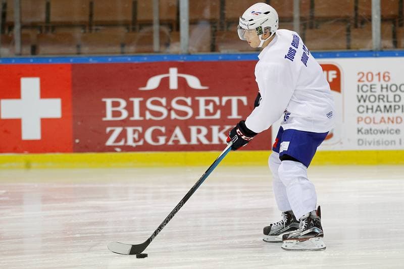 Ice Hockey. France. Training. 15.12.2015