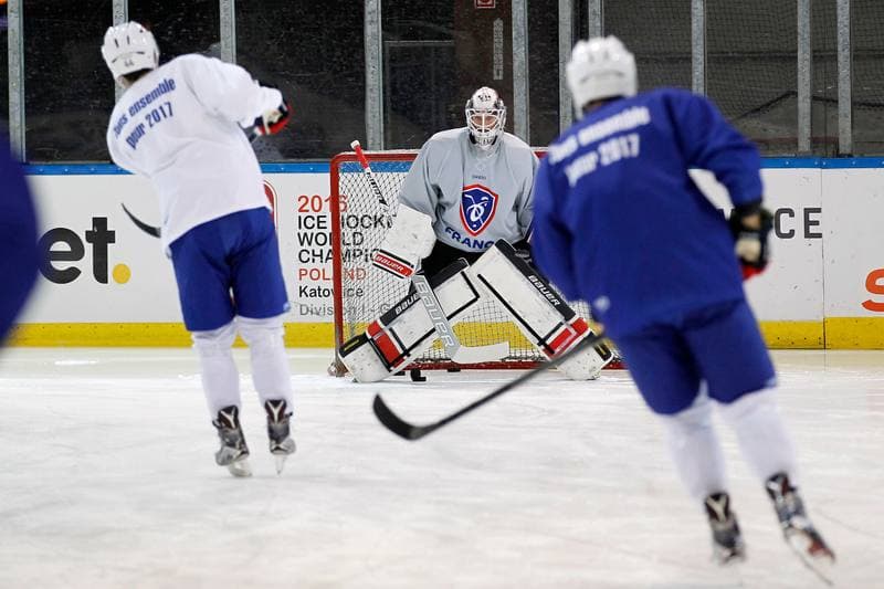 Ice Hockey. France. Training. 15.12.2015