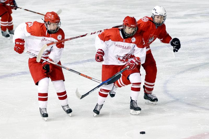 Ice Hockey. Women's U18 Friendly Match. Poland - Denmark. 06.01.2017