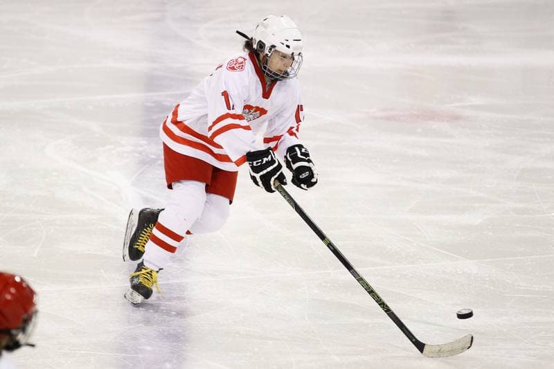 Ice Hockey. U18 Women's World Championship. Poland - Denmark. 08.01.2017