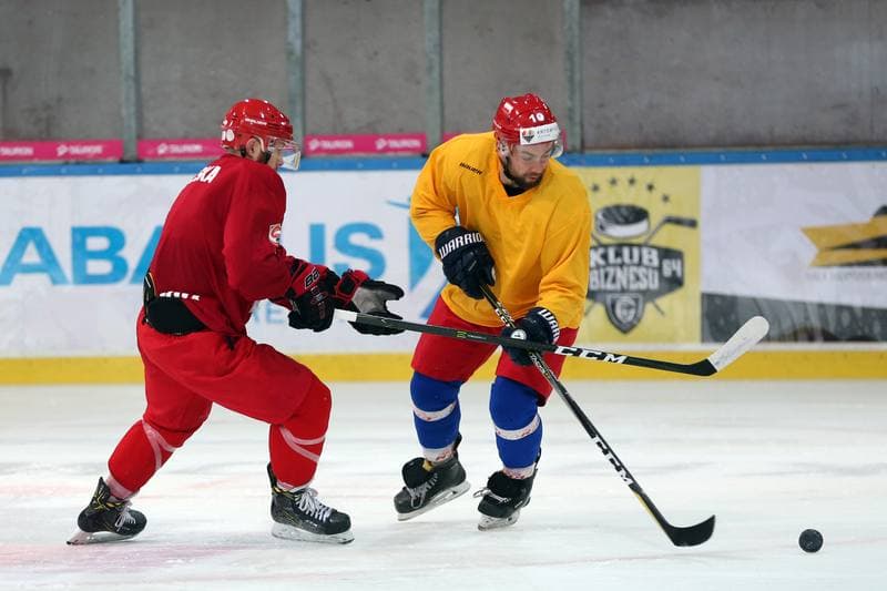 Ice Hockey. Poland national team. Training. 27.09.2017