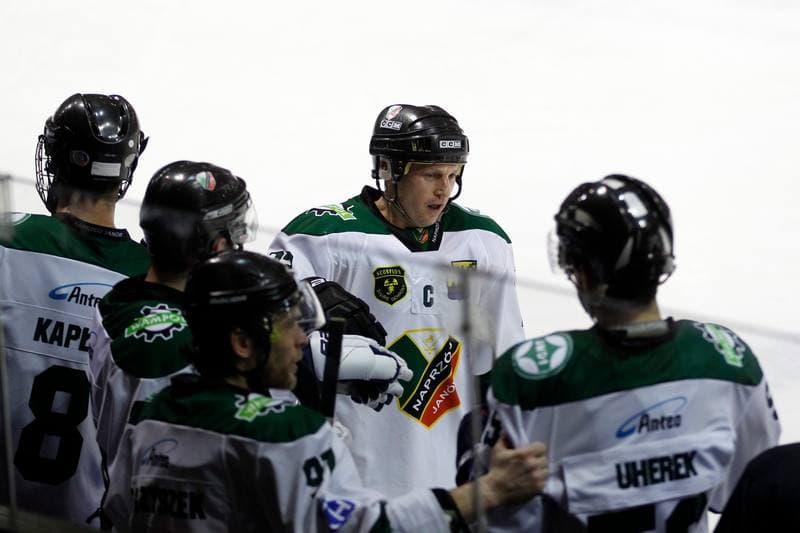 Ice Hockey. I Liga. Naprzod Janow - Zaglebie Sosnowiec. 22.01.2017
