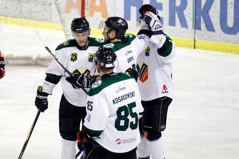 Ice Hockey. I Liga. Naprzod Janow - Zaglebie Sosnowiec. 22.01.2017