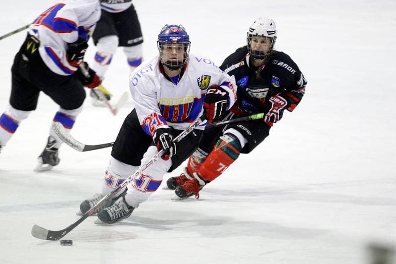 Ice Hockey. PLHK. Polonia Bytom - Atomowki Tychy. 27.01.2017