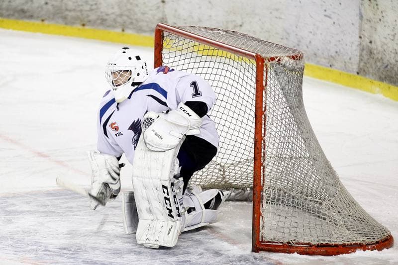 Ice Hockey. Polska Hokej Liga. SMS PZHL Sosnowiec - Tauron KH GKS Katowice. 31.01.2017