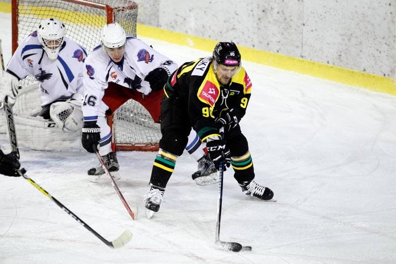 Ice Hockey. Polska Hokej Liga. SMS PZHL Sosnowiec - Tauron KH GKS Katowice. 31.01.2017