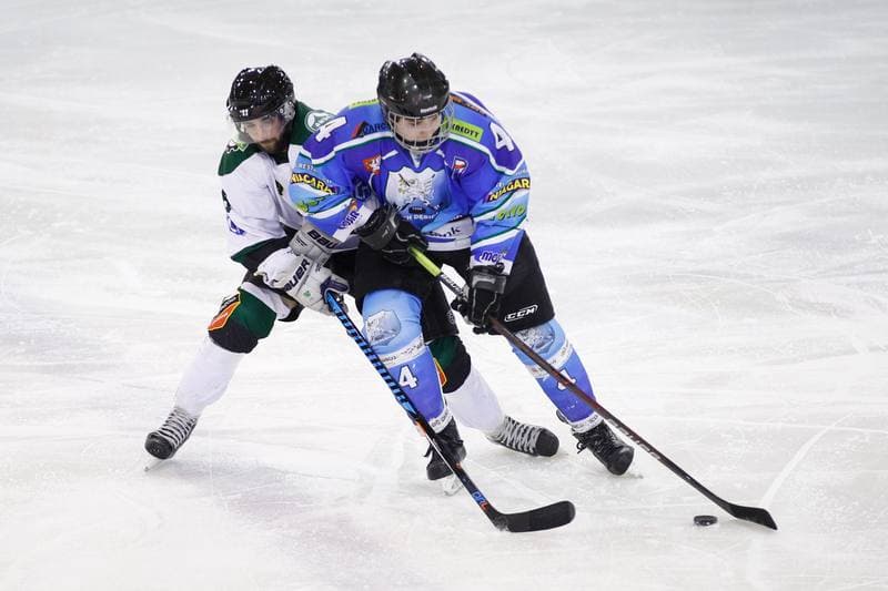 Ice Hockey. I Liga. Naprzod Janow - UKH Debica. 12.02.2017