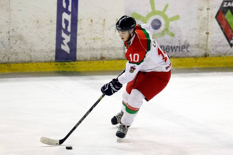 Ice Hockey. I Liga. Zaglebie Sosnowiec - UKH Debica. 18.02.2017