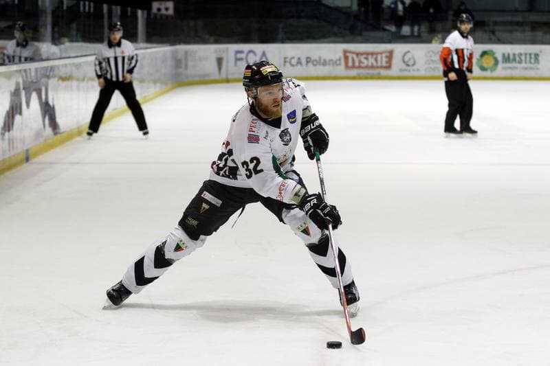 Ice Hockey. Polska Hokej Liga. GKS Tychy - Tauron GKS Katowice. 21.02.2017