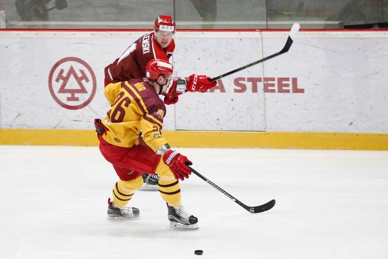 Ice Hockey. WSM Liga. HC Frydek-Mistek - Dukla Jihlava. 02.03.2017