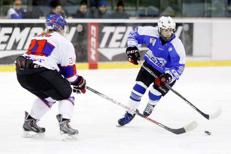Ice Hockey. PLHK. Polonia Bytom - Stoczniowiec Gdansk. 18.03.2017