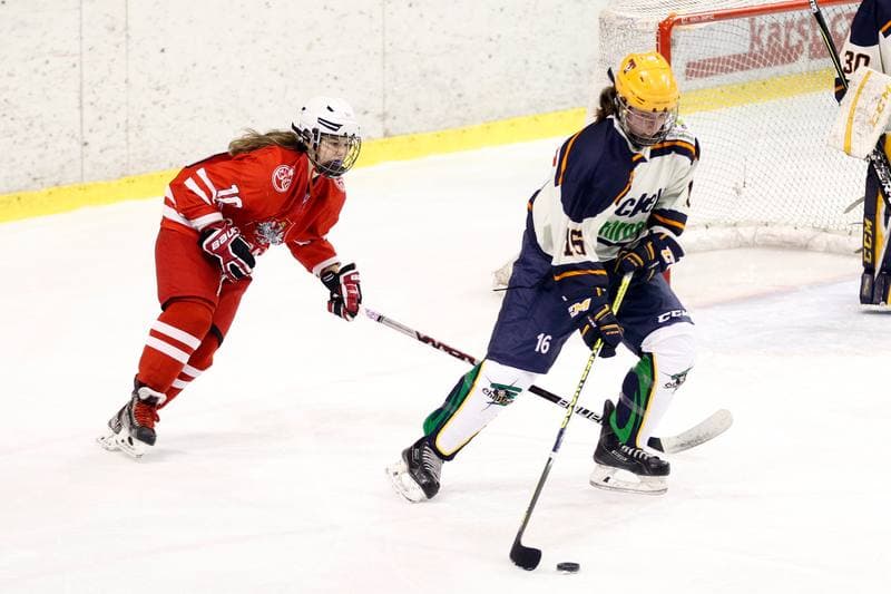 Ice Hockey. Women's Friendly Match. Poland - Ontario. 04.04.2017