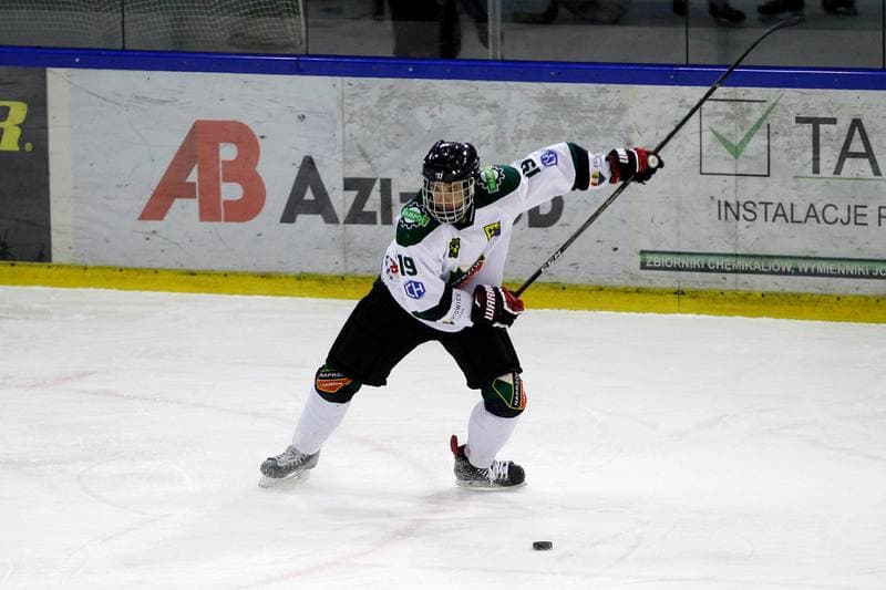 Ice Hockey. Polska Hokej Liga. Anteo Naprzod Janow - Polonia Bytom. 30.01.2018