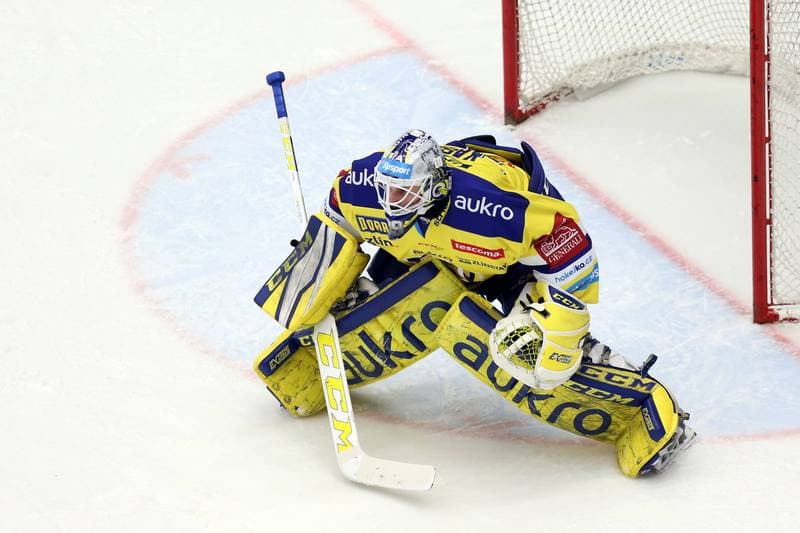Ice Hockey. Tipsport Extraliga. Ocelari Trinec - Aukro Berani Zlin. 06.02.2018