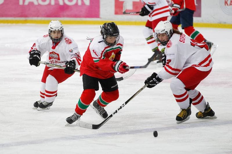 Ice Hockey. TCN. Poland - Hungary. 18.02.2018