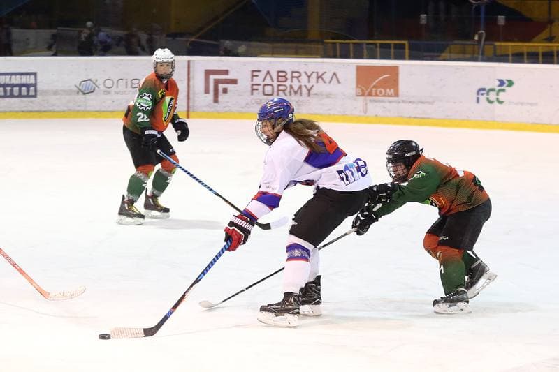 Ice Hockey. PLHK. Polonia Bytom - Naprzod Janow. 03.03.2018