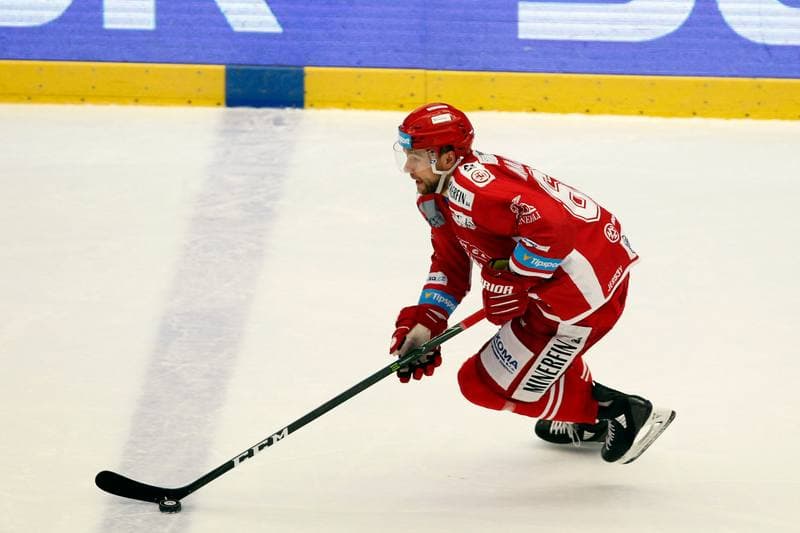 Ice Hockey. Tipsport Extraliga. Ocelari Trinec - Aukro Berani Zlin. 30.12.2017