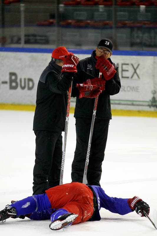 Ice Hockey. Poland national team. Training. 13.02.2018
