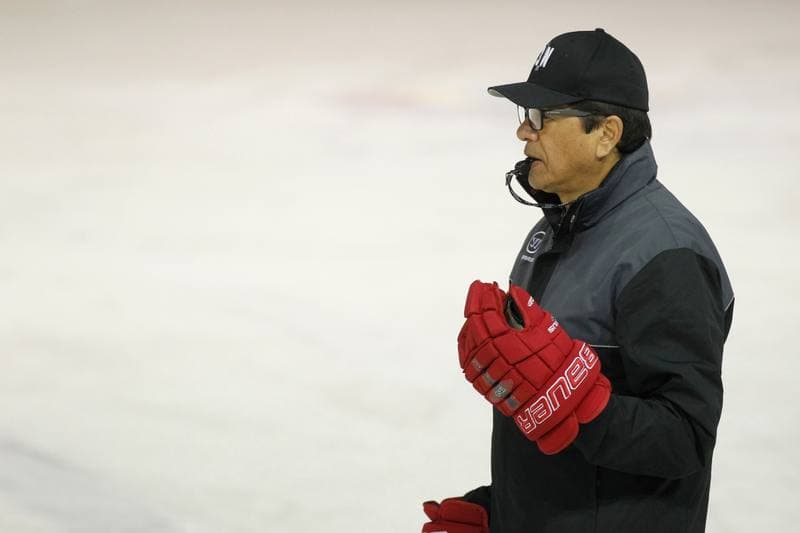 Ice Hockey. Poland national team. Training. 13.02.2018