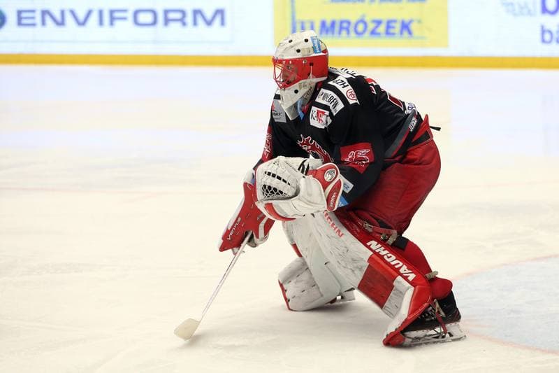 Ice Hockey. TipSport Extraliga. Ocelari Trinec - Mountfield Hradec Kralove. 03.04.2018