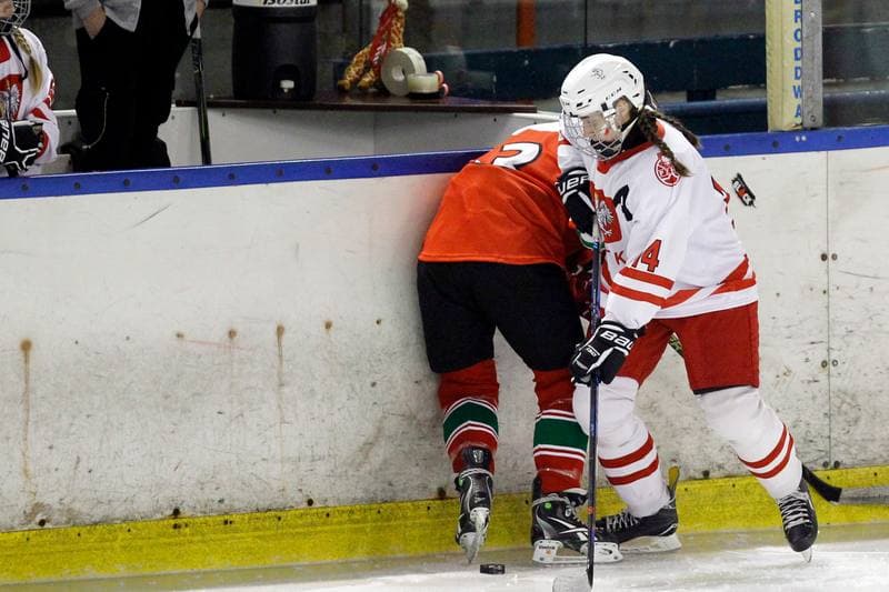 Ice Hockey. Women's U18 Championship. Poland - Hungary. 11.11.2018