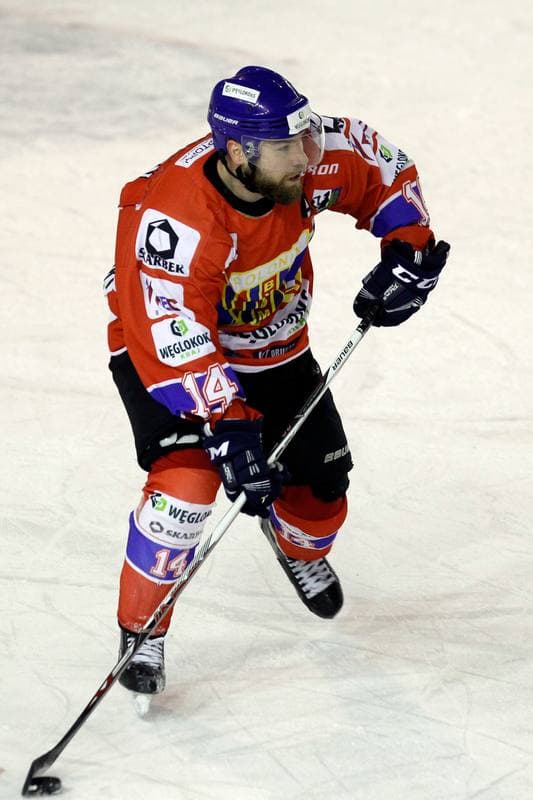 Ice Hockey. Polska Hokej Liga. Zaglebie Sosnowiec - Weglokoks Kraj Polonia Bytom. 13.01.2019