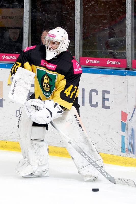 Ice Hockey. Polska Hokej Liga. Tauron KH GKS Katowice - Comarch Cracovia. 17.03.2019